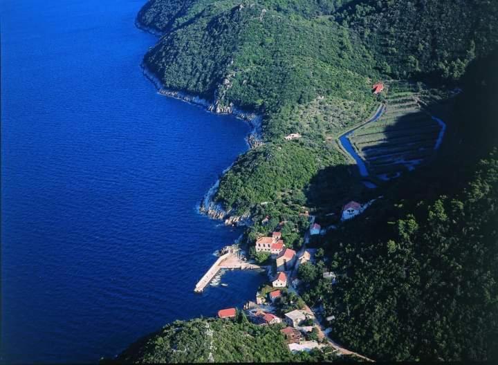 Izabela Apartment With Swimming Pool Babino Polje ภายนอก รูปภาพ